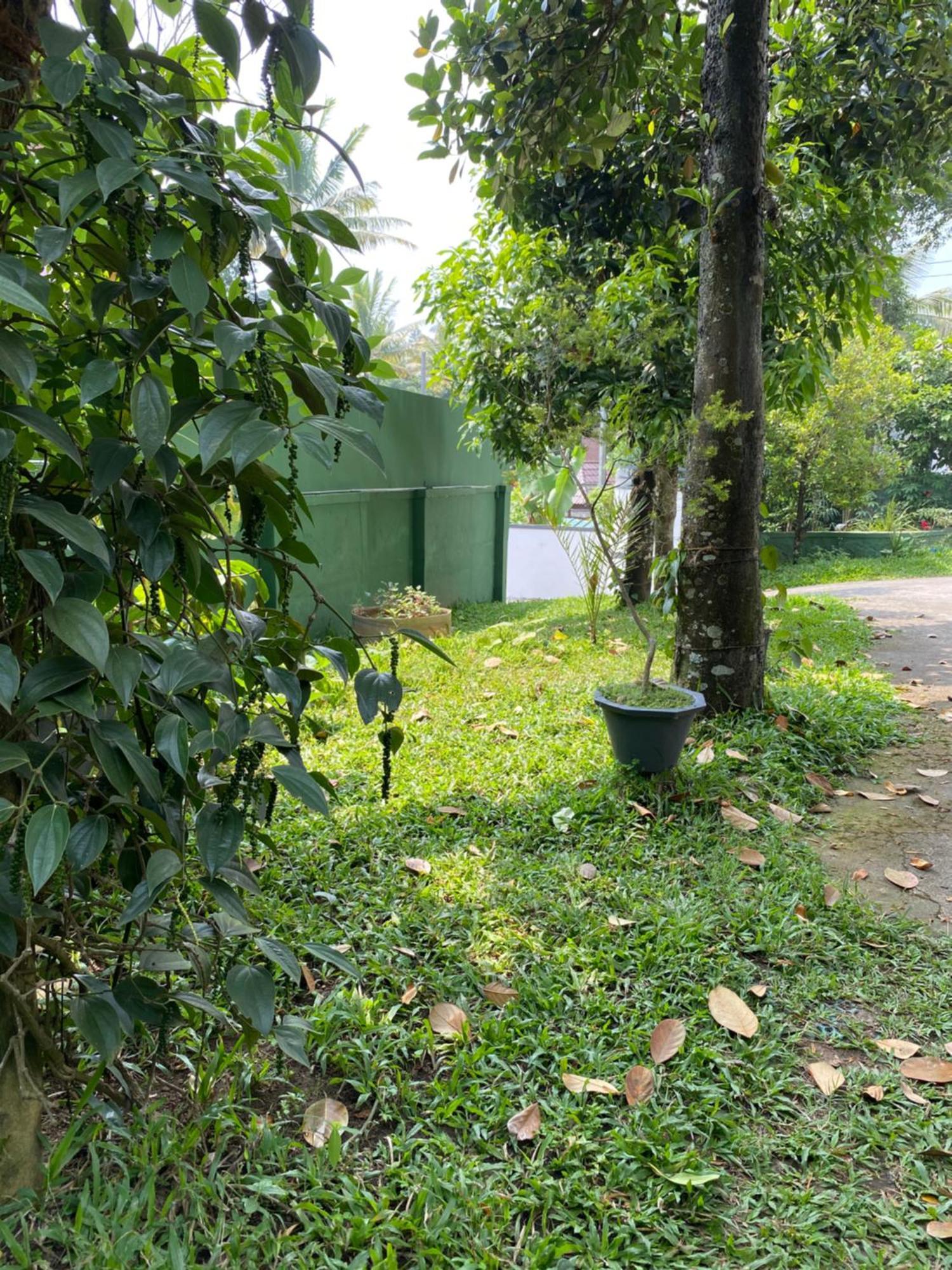 Tranquilou Homestay Thekkady Exteriör bild